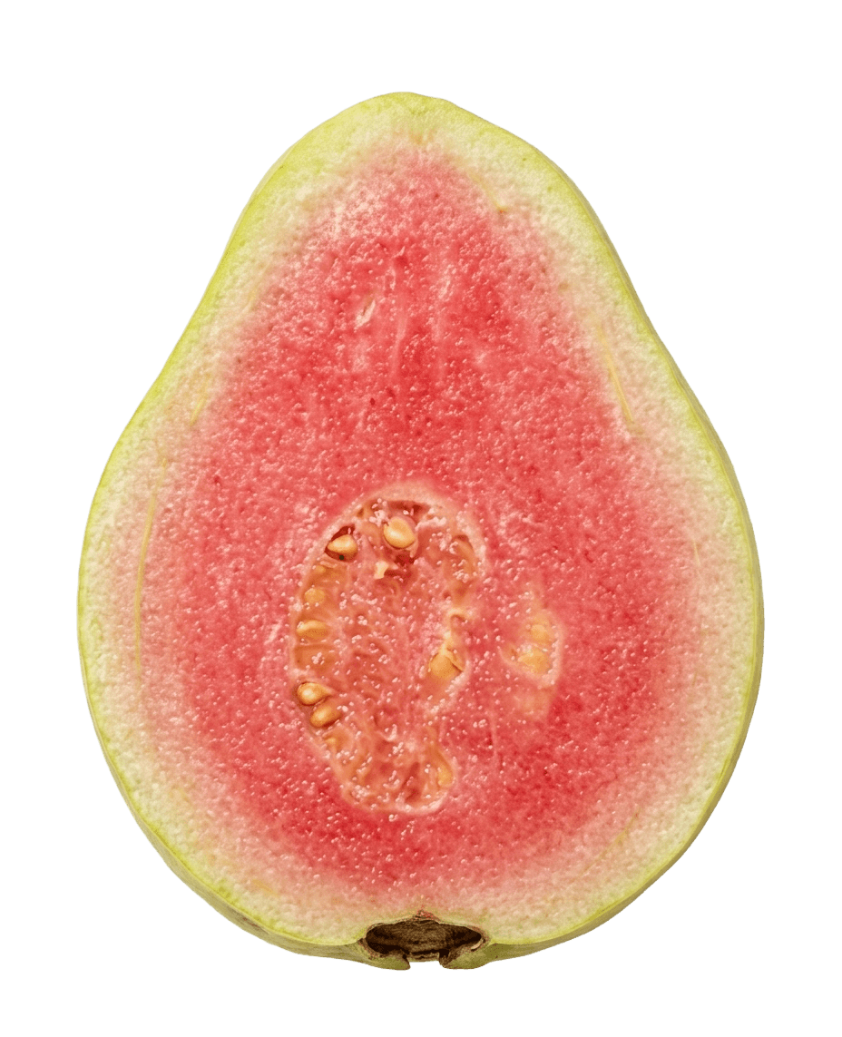Jarvi Red vs Jarvi Red-1 — Which Guava Variety is Right for Your Farm?